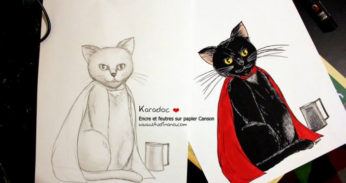Karadoc le chat (work in progress)